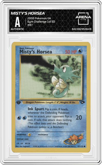Misty's Horsea