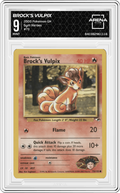 Brock's Vulpix