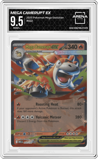 Mega Camerupt ex