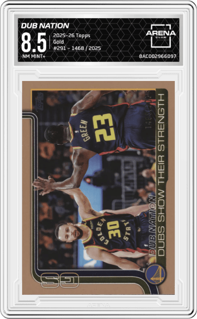 Dubs Nation: Dubs Show Their Strength