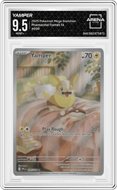 Yamper