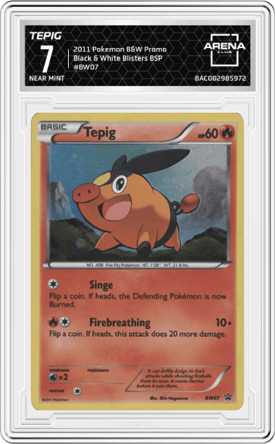 Tepig