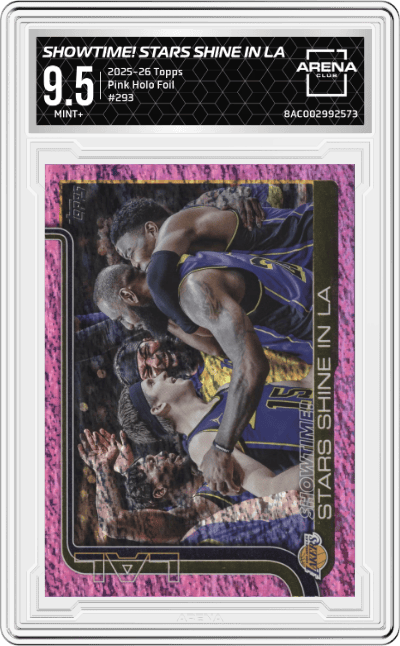 Showtime!: Stars Shine in LA