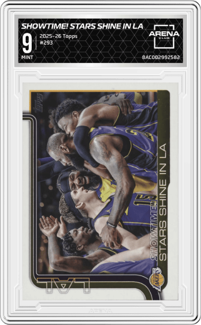 Showtime!: Stars Shine in LA