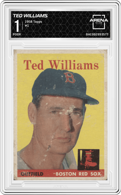 Ted Williams
