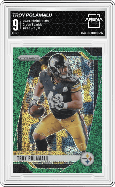 Troy Polamalu