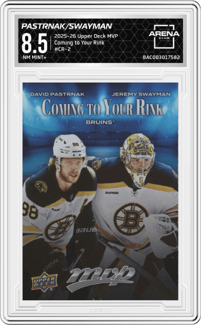 David Pastrnak/Jeremy Swayman