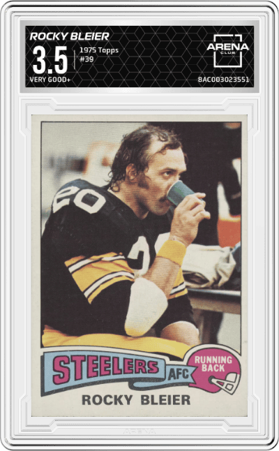 Rocky Bleier