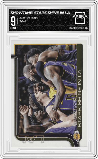 Showtime!: Stars Shine in LA