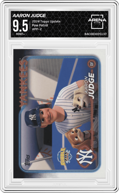 Aaron Judge 