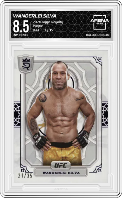 Wanderlei Silva