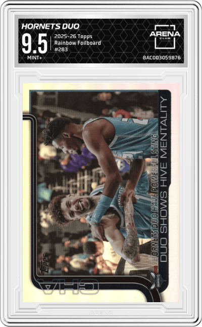 Hornets Duo Have Powerful Sting