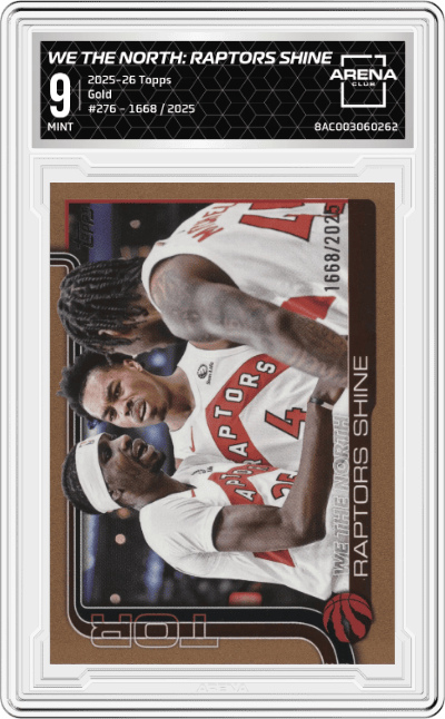 We The North: Raptors Shine 