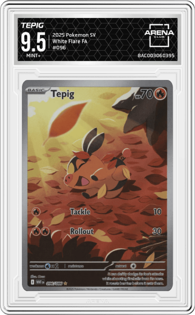Tepig
