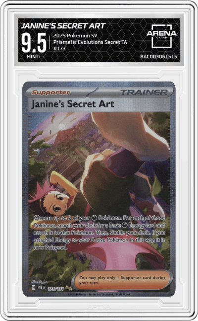 Janine's Secret Art
