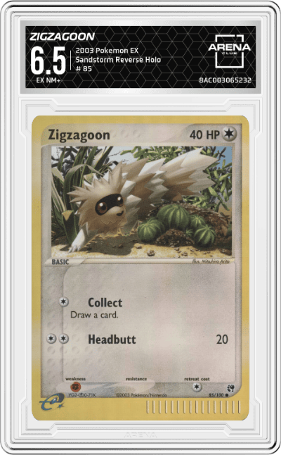 Zigzagoon