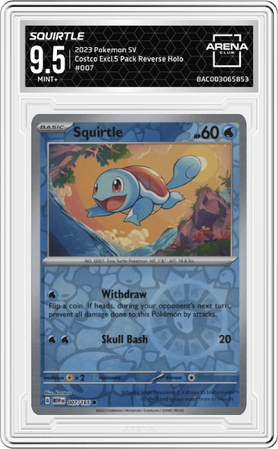 Squirtle