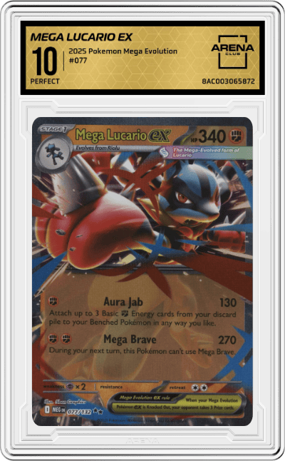 Mega Lucario ex