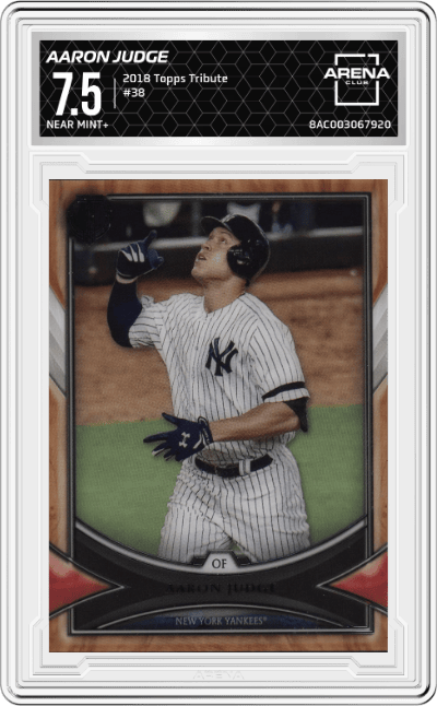 Aaron Judge