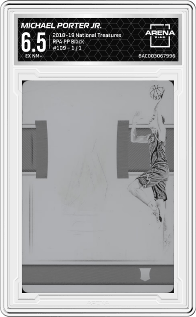 Michael Porter Jr.