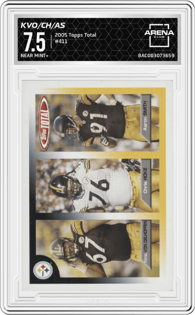 Kimo Von Oelhoffen/ Chris Hoke/ Aaron Smith