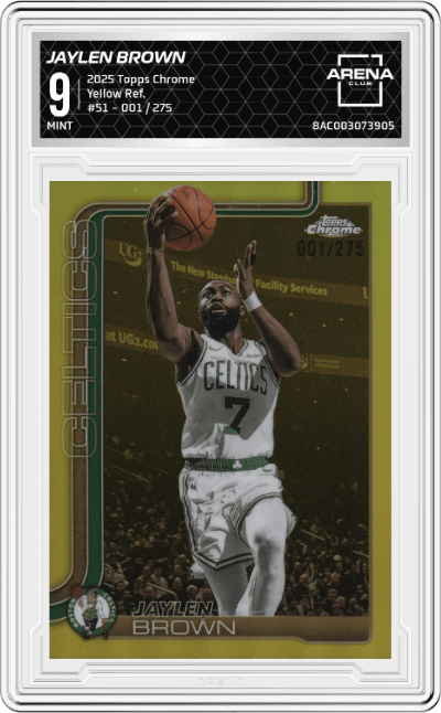 Jaylen Brown