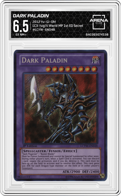 Dark Paladin