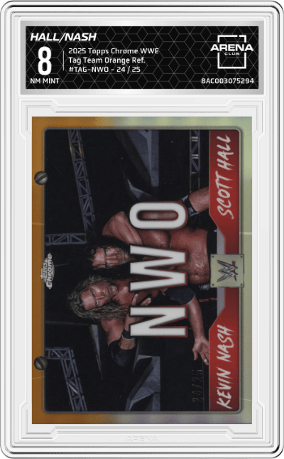 Scott Hall/Kevin Nash 