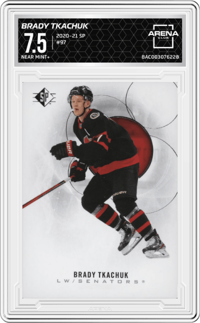 Brady Tkachuk 