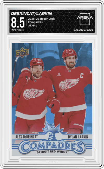 Alex DeBrincat/Dylan Larkin