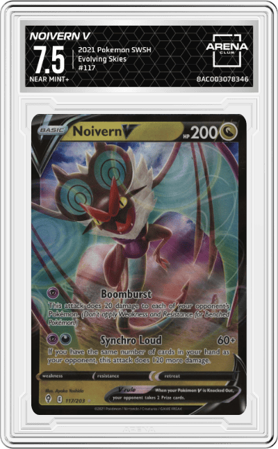 Noivern V