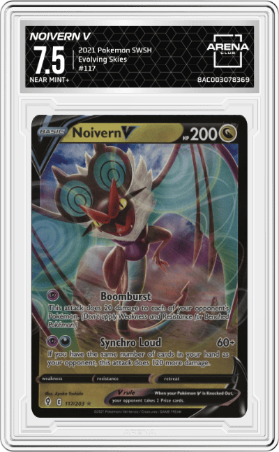 Noivern V