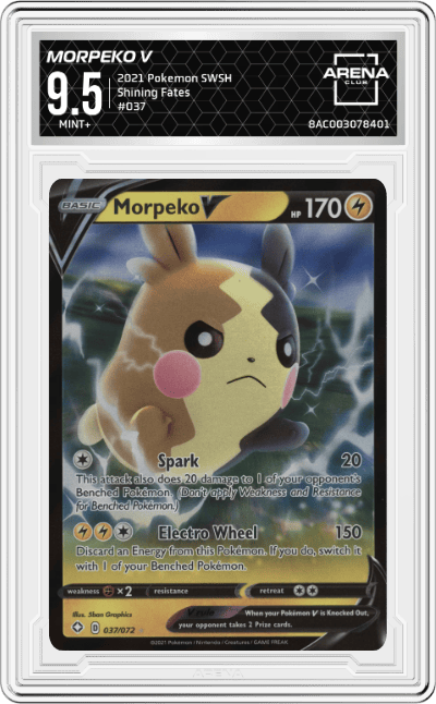 Morpeko V