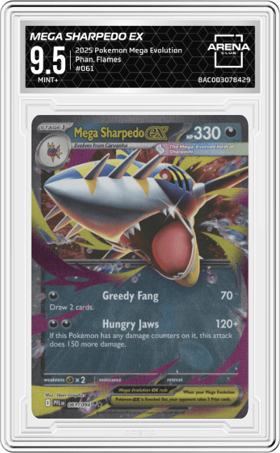 Mega Sharpedo ex