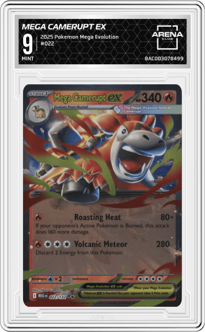 Mega Camerupt ex