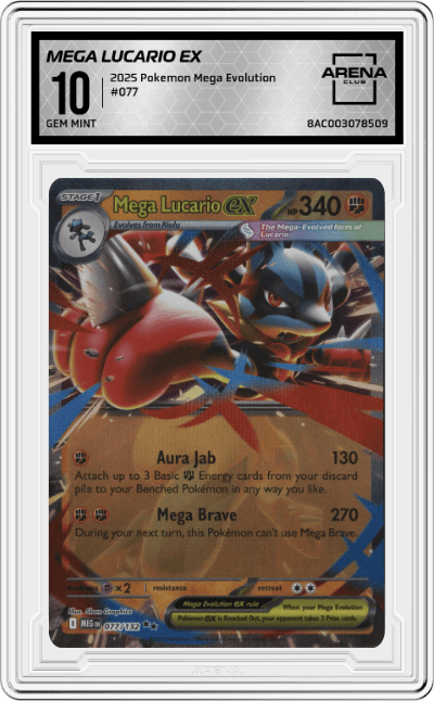 Mega Lucario ex