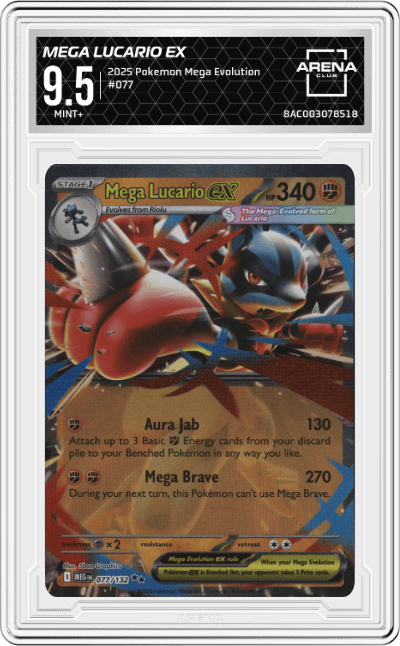 Mega Lucario ex