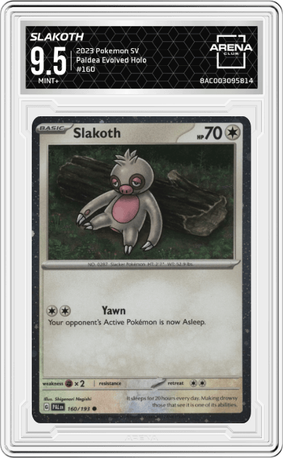 Slakoth