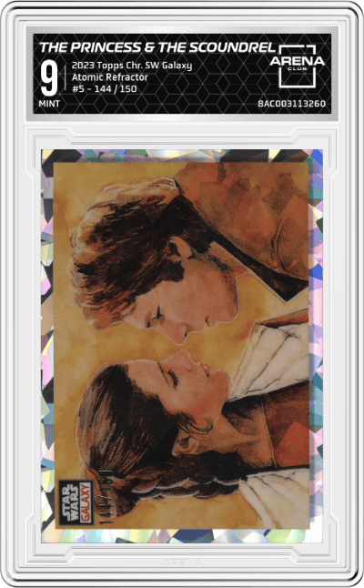 The Princess & The Scoundrel