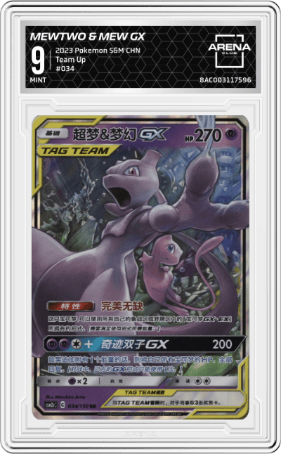 Mewtwo & Mew GX