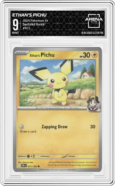 Ethan's Pichu