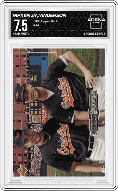 Cal Ripken Jr./Brady Anderson