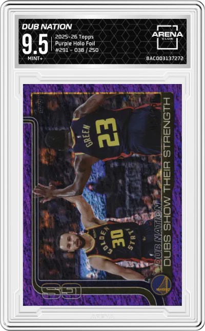 Dubs Nation: Dubs Show Their Strength