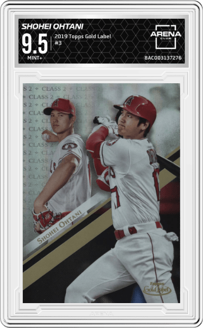 Shohei Ohtani
