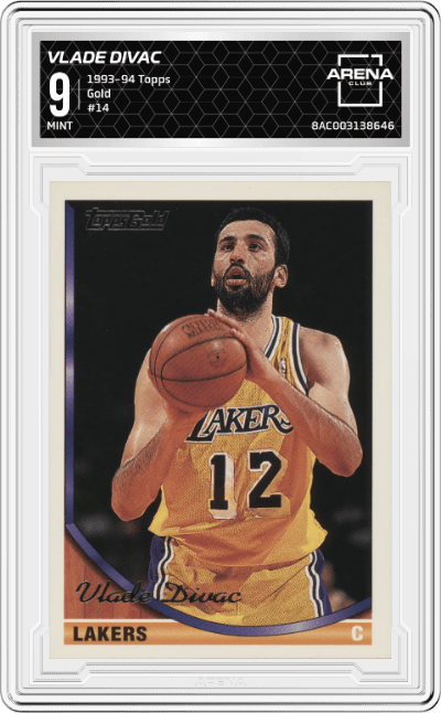 Vlade Divac 