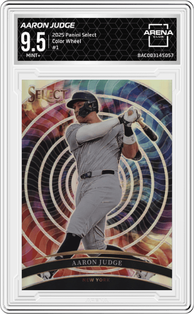 Aaron Judge