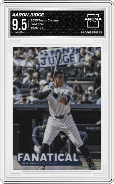 Aaron Judge
