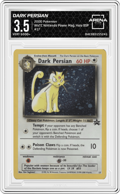 Dark Persian