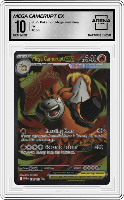 Mega Camerupt ex