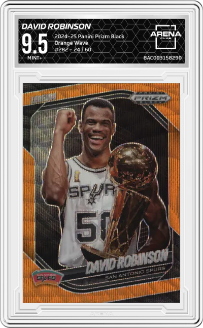 David Robinson 